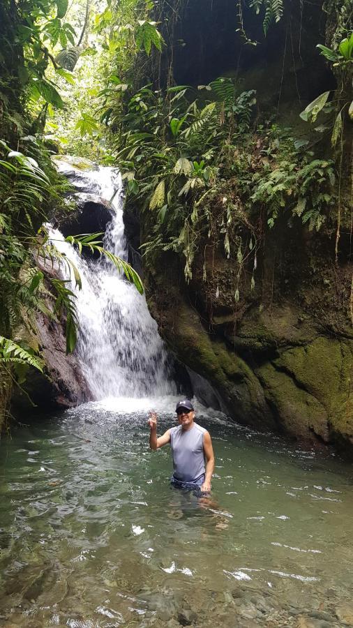 Golden Tree Mindo Eco-Lodge Luaran gambar