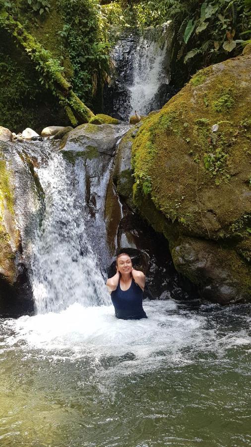 Golden Tree Mindo Eco-Lodge Luaran gambar
