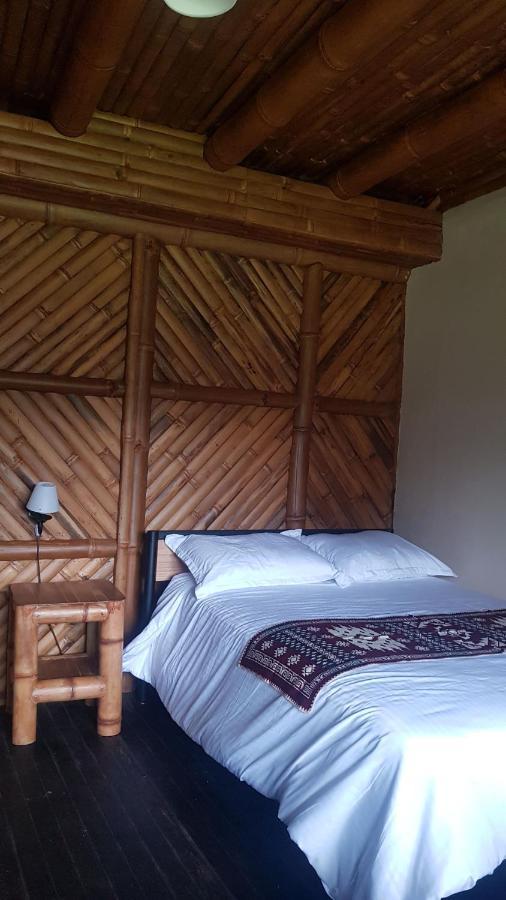 Golden Tree Mindo Eco-Lodge Luaran gambar